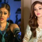 সংগৃহিত ছবি: শেফালী জারিওয়ালা